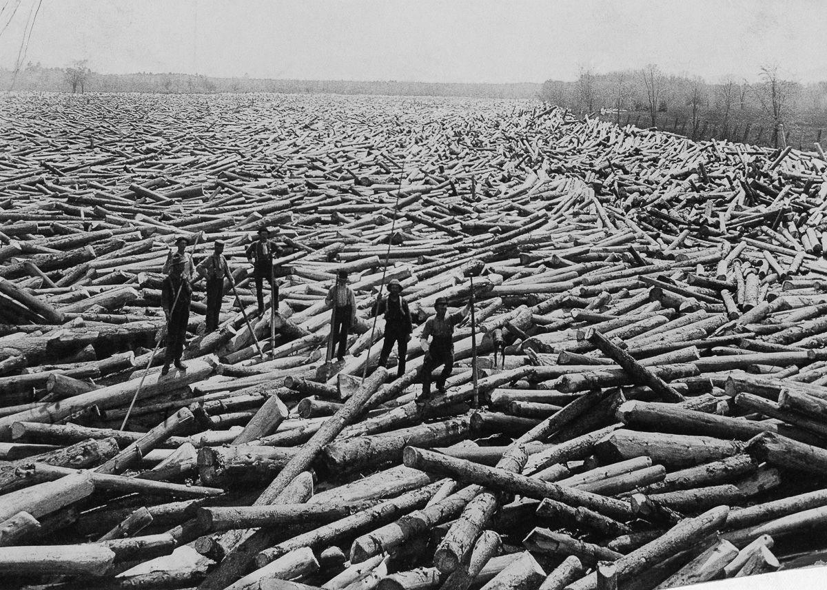 Loggers in rural New York, August 1907. Image: US Forest Service Mitigating Paper Emissions Through Sustainable Forestry