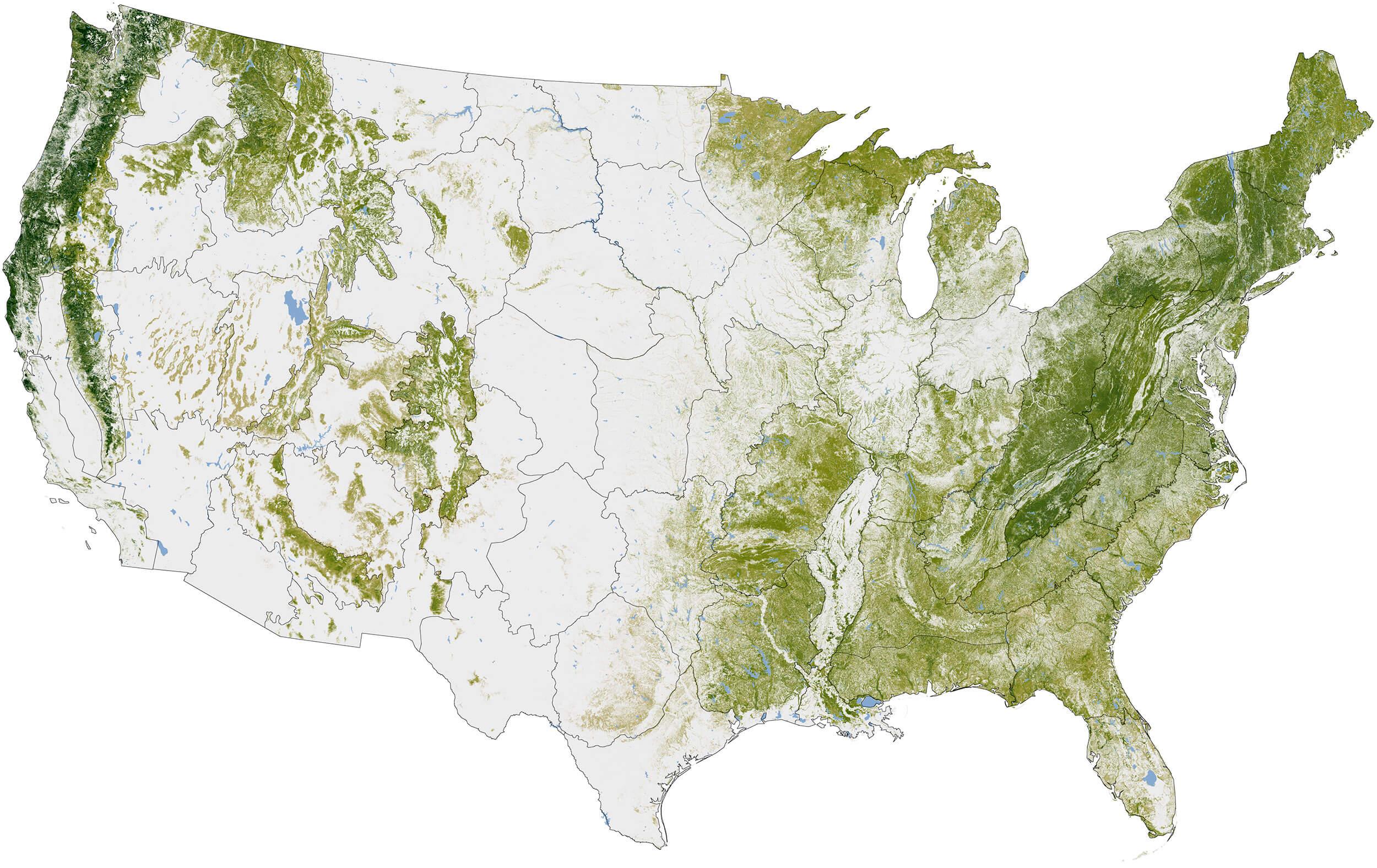 Forests cover about 30% of the planet’s land area, and as much as 45% of the carbon stored on land is tied up in forests. The National Biomass and Carbon Dataset is the largest high-resolution map of forest biomass yet assembled. Map by Robert Simmon based on 2011 data from Woods Hole Research Center. Source: NASA Mitigating Paper Emissions Through Sustainable Forestry