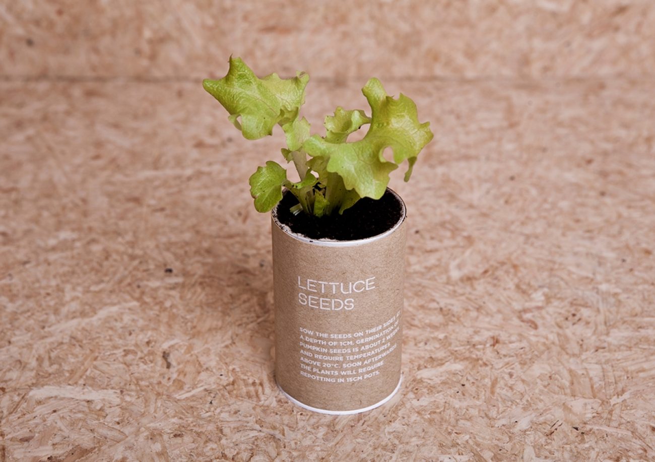  Second Life Packaging: A Clever Approach to Sustainability